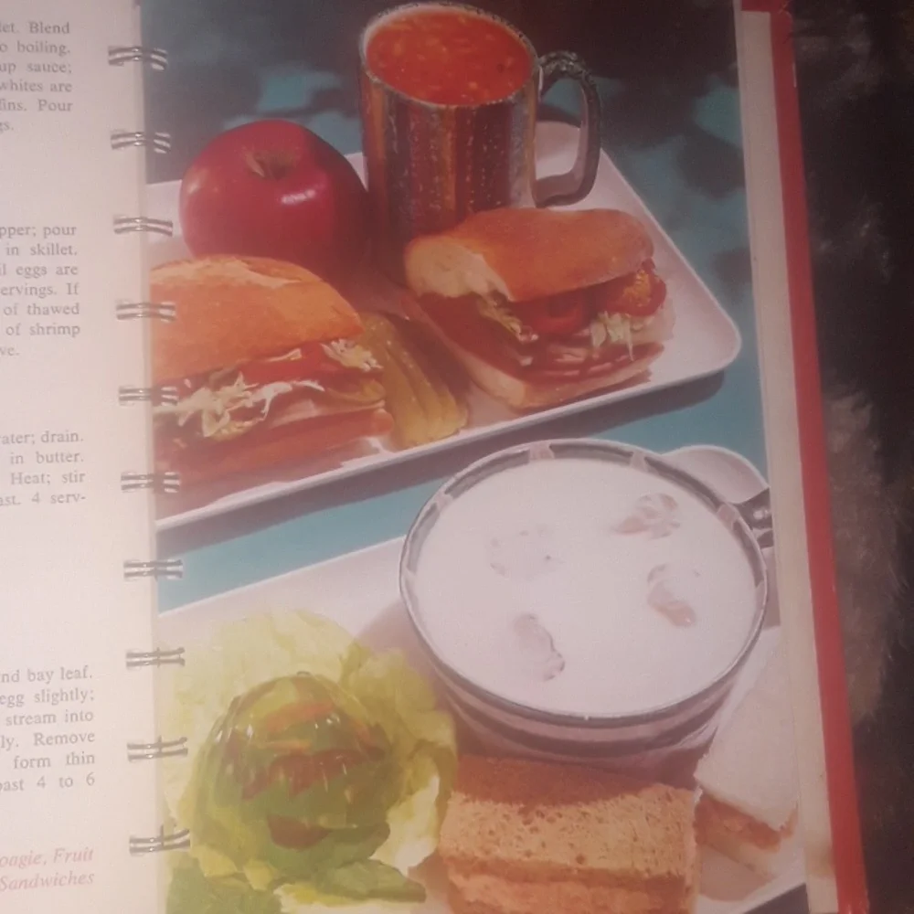 Campbell SOUP Vintage CookBook  RARE IN VNVC